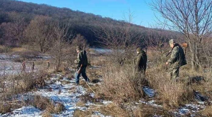 На Одещині під час відстрілу лисиць і шакалів зафіксували порушення