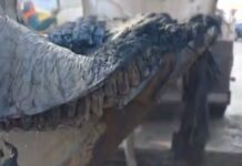 Матрац, підгузки і бампер авто: що знаходять у каналізації Одеси