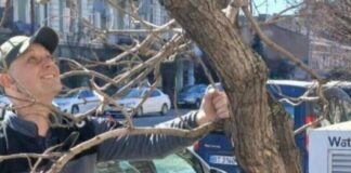 Українець із Німеччини безплатно взявся за дерева в Одесі, — ФОТО