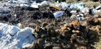 На Одещині прибрали три стихійні сміттєзвалища після втручання екоінспекції