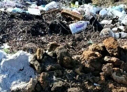 На Одещині прибрали три стихійні сміттєзвалища після втручання екоінспекції