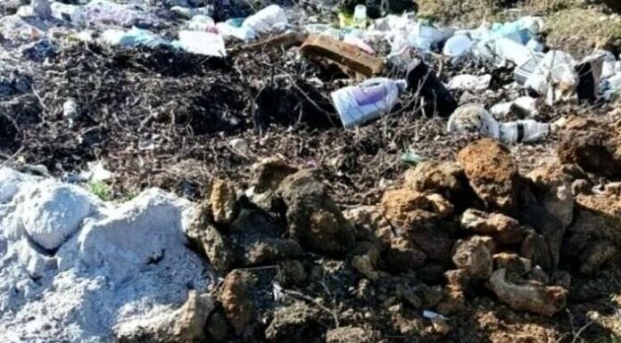На Одещині прибрали три стихійні сміттєзвалища після втручання екоінспекції