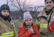 На Одещині врятували цуценя з пастки: малюк впав у глибоку яму