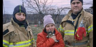 На Одещині врятували цуценя з пастки: малюк впав у глибоку яму