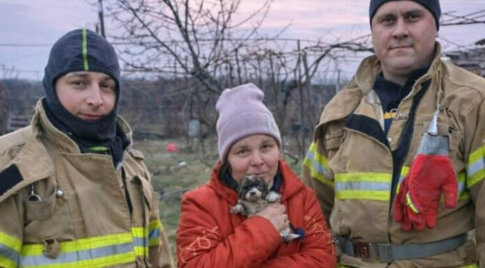 На Одещині врятували цуценя з пастки: малюк впав у глибоку яму