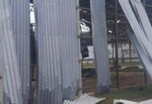 Дрони вдарили по півдню Одещини: пошкоджено ферму і ангари