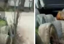 В Одесі бус ТЦК збив пенсіонерку: що відомо