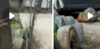 В Одесі бус ТЦК збив пенсіонерку: що відомо