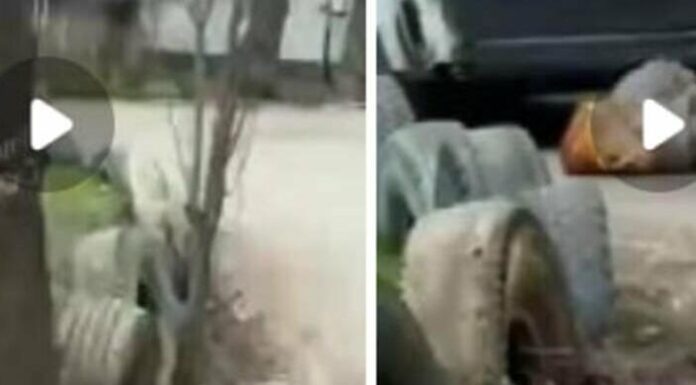 В Одесі бус ТЦК збив пенсіонерку: що відомо