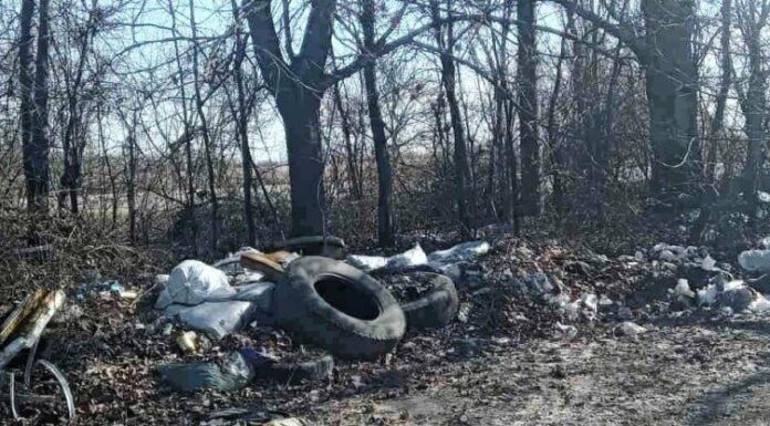 Трасу до Одеси перетворили на смітник, — ФОТО