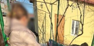 Коти «на повідку»: одеські правоохоронці розслідують справу про жорстоке поводження з тваринами, — ФОТО