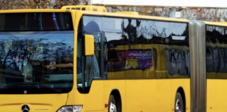 В Одесі оприлюднили розклад руху соціального транспорту в будні дні, — ФОТО