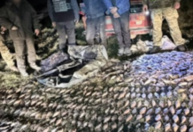 На Одещині двоє чоловіків «наловили» собі позбавлення волі