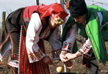 Як на Одещині відродили свято виноградарів: історія Трифона Зарезана, — ФОТО