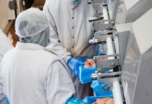 Мільйонні махінації на птахофабриці: в Одесі викрили податкову аферу, — ФОТО, ВІДЕО