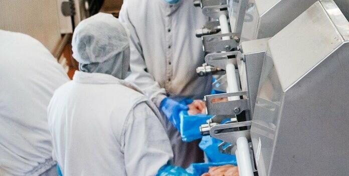 Мільйонні махінації на птахофабриці: в Одесі викрили податкову аферу, — ФОТО, ВІДЕО