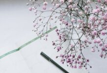 31 березня: Яке сьогодні свято, все про цей день