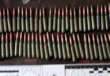 Арсенал у дворі: на Одещині викрили схованку з набоями