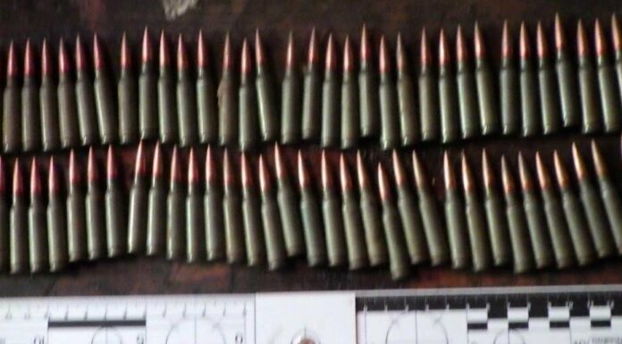 Арсенал у дворі: на Одещині викрили схованку з набоями