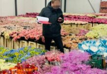 Одеський бізнесмен приховав понад 10 млн грн податків, — ФОТО