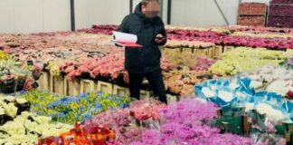 Одеський бізнесмен приховав понад 10 млн грн податків, — ФОТО