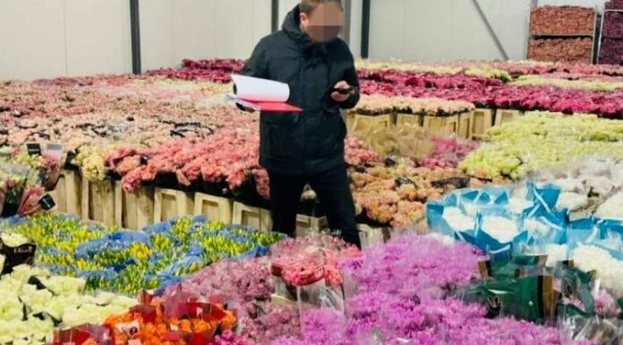 Одеський бізнесмен приховав понад 10 млн грн податків, — ФОТО