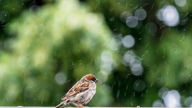4 квітня: Яке сьогодні свято, все про цей день