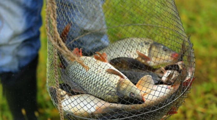 В Украине запретили рыбалку: жесткие ограничения уже с 1 апреля