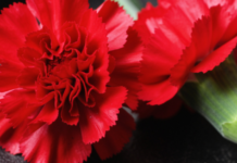 В Одесі помер ще один постраждалий від обстрілу 28 березня