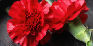 В Одесі помер ще один постраждалий від обстрілу 28 березня