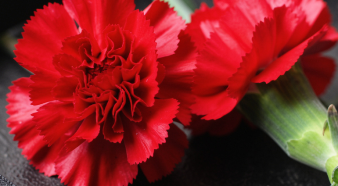 В Одесі помер ще один постраждалий від обстрілу 28 березня