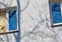 Комунальники вивезли тонни сміття, пошкоджено десятки квартир: наслідки атаки на Одесу