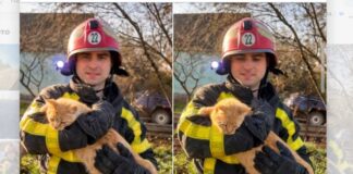 На Одещині врятували котика з глибокої криниці