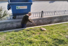 На узбережжі Одеси провели санітарний моніторинг, — ФОТО