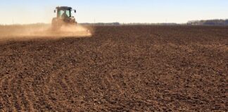 Правительство Украины приняло ряд изменений для фермеров на прифронтовых территориях — премьер-министр