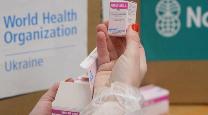 Укус собаки чи кота може коштувати життя: в Одеську область доставлять препарат для екстрених випадків, — ФОТО