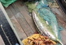На Одещині виявили браконьєрів із рідкісною рибою: подробиці