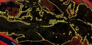 Після атаки РФ на Одещині вигоріло понад тисячу гектарів заповідника