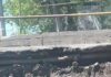 Одеситка поскаржилась на сморід — у Київському районі ліквідували витік каналізації