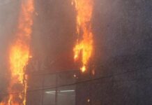 Російський дрон вбив собаку в зоомагазині на Одещині, — ФОТО