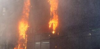 Російський дрон вбив собаку в зоомагазині на Одещині, — ФОТО
