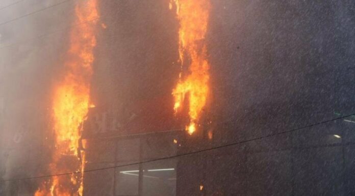 Російський дрон вбив собаку в зоомагазині на Одещині, — ФОТО