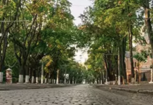 Дух «маленького Парижа» в Одесі: як зʼявився богемний Французький бульвар