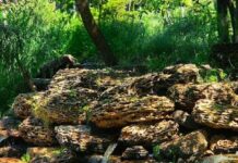Одесити масово їдуть у парк Перемоги заради цієї фотолокації: як з’явився знаменитий грот, — ФОТО