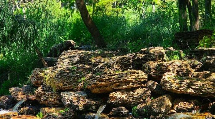 Одесити масово їдуть у парк Перемоги заради цієї фотолокації: як з’явився знаменитий грот, — ФОТО