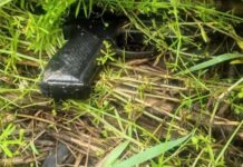 У Києві затримано іноземця за підозрою у вбивстві двох знайомих на СТО