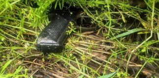 У Києві затримано іноземця за підозрою у вбивстві двох знайомих на СТО