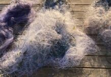 Сітки смерті на Дністровському лимані: в Одеській області врятували майже сотню молодих рибин, — ФОТО
