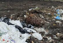 На Одещині оштрафували посадовців через сміттєзвалище, — ФОТО