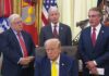 Трамп прокоментував ініціативу Зеленського щодо можливої зустрічі з Путіним: думаю, було б чудово, якби вони зустрілися